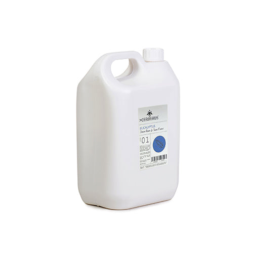 Tylo Steam Eucalyptus Essence 5 Litre