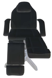 Stellar Beauty/Tattoo Chair Black