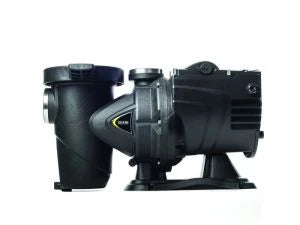 1.5HP Variable speed 1 phase pump