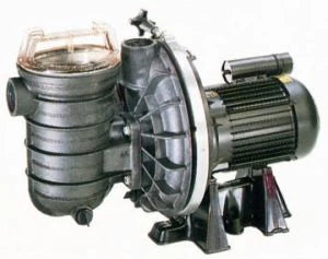 1HP (0.75kW) Sta-Rite - 1.5" suction & delivery (E)