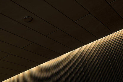 Tylo LED Light Strip Silhouette 6m +Transformer - 60 W