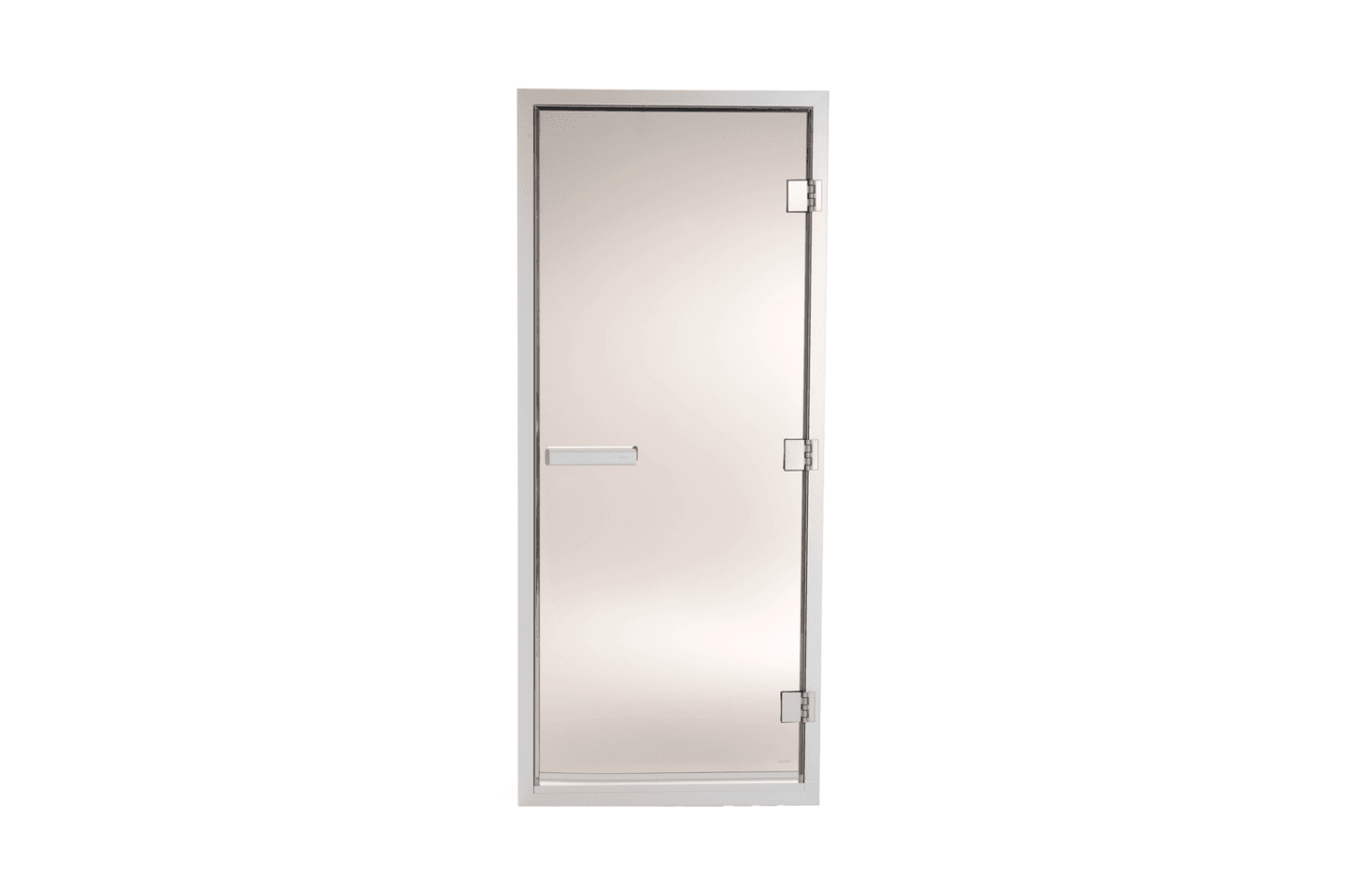 Tylo Steam Door 60G - Bronzed Glass